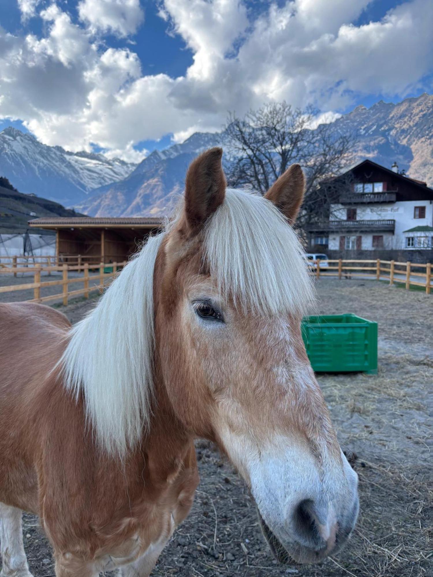 Schoene Wohnung Am Stadtrand Von Meran Valentinhof Екстер'єр фото